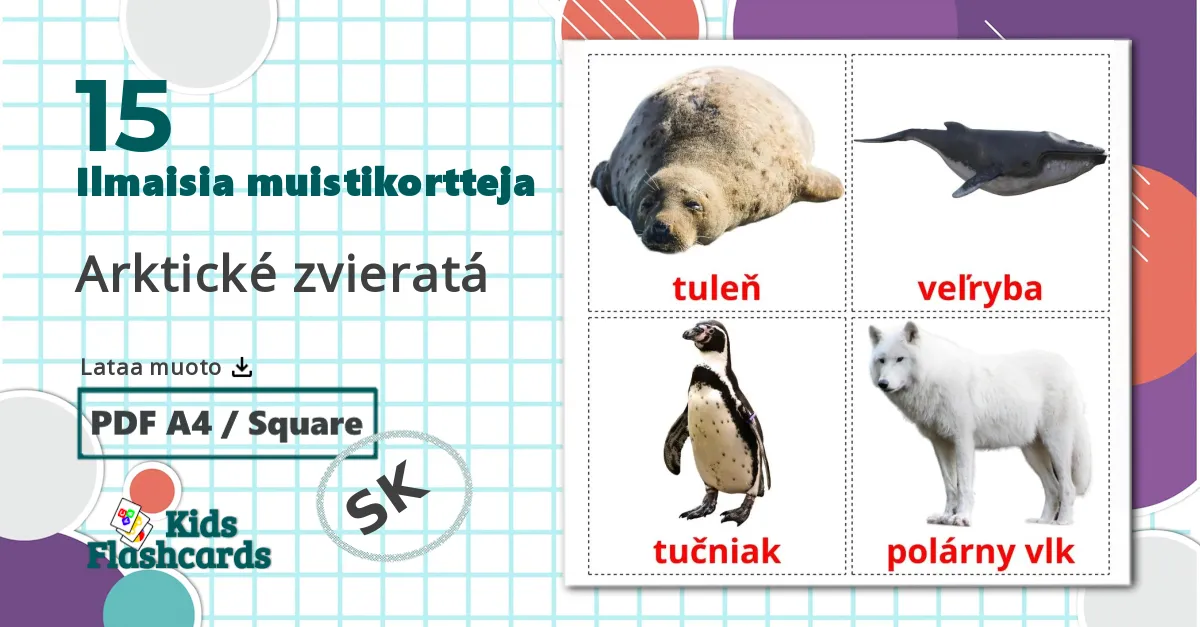 15 Arktické zvieratá lasten kuvakortit