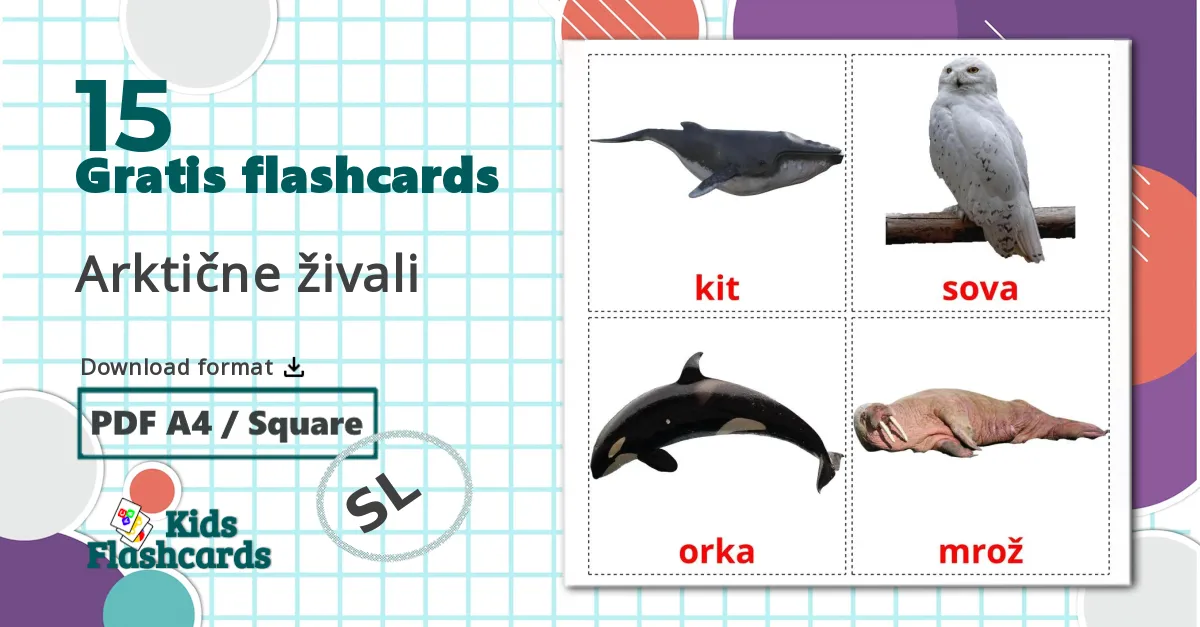 15 Arktične živali billedkort for børn