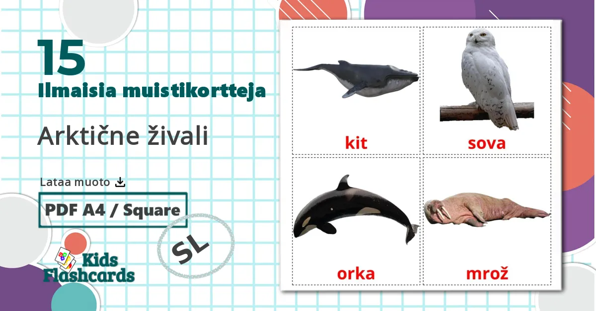 15 Arktične živali lasten kuvakortit