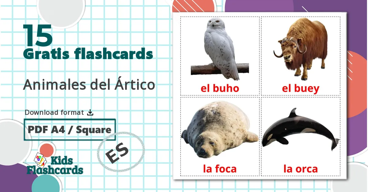 15 Animales del Ártico billedkort for børn