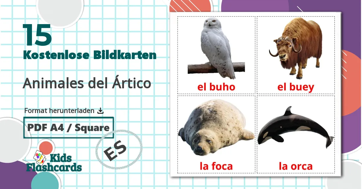 15 Bildkarten für Animales del Ártico