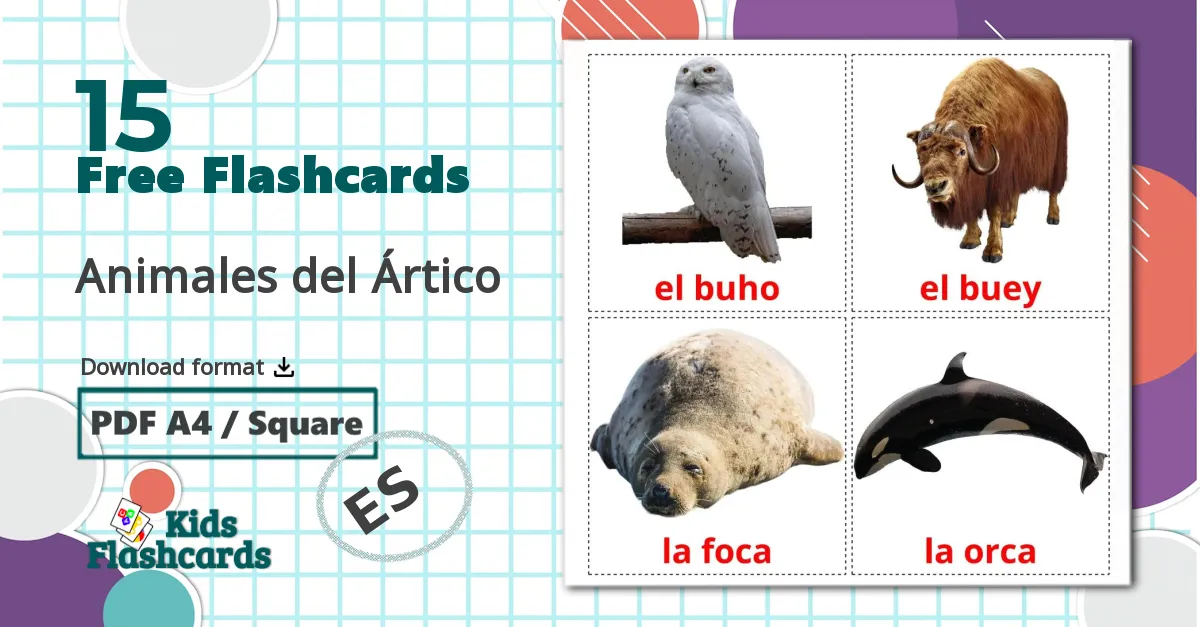 15 Animales del Ártico flashcards