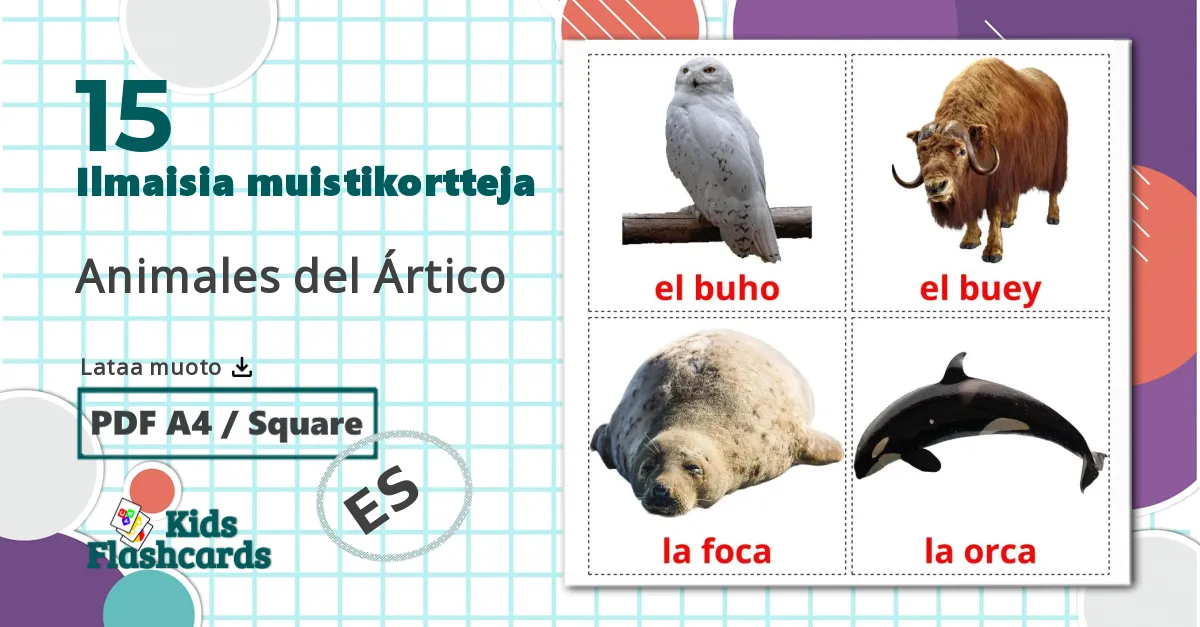 15 Animales del Ártico lasten kuvakortit
