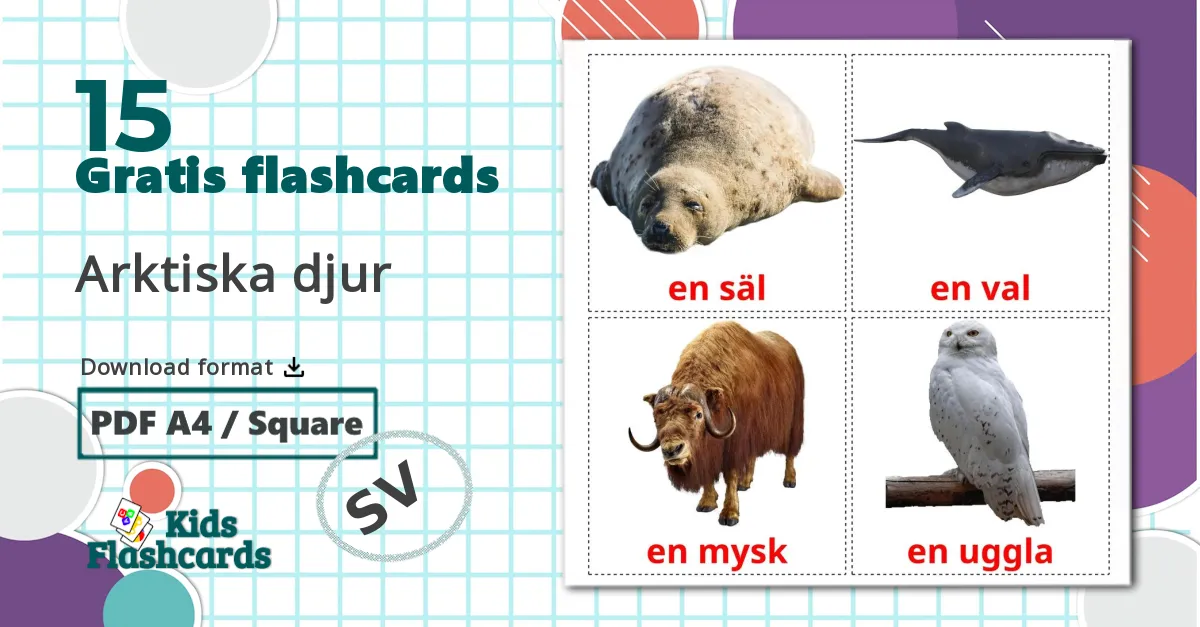 15 Arktiska djur billedkort for børn