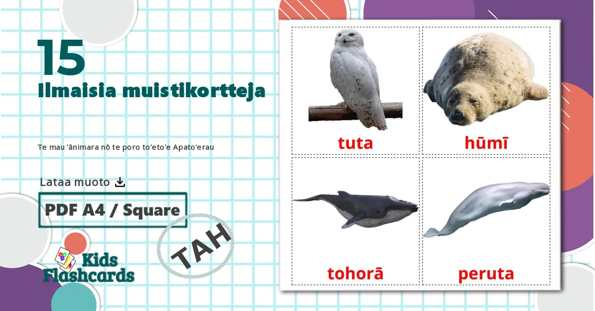 15 Te mau 'ānimara nō te poro to'eto'e Apato'erau lasten kuvakortit