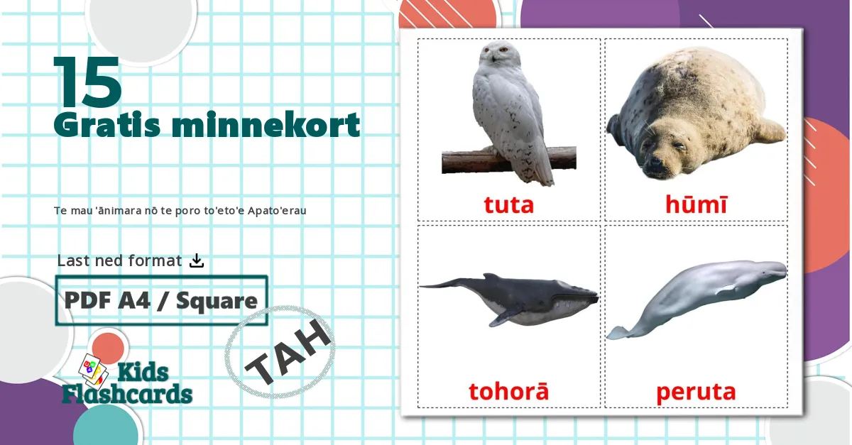 15 Te mau 'ānimara nō te poro to'eto'e Apato'erau bildekort