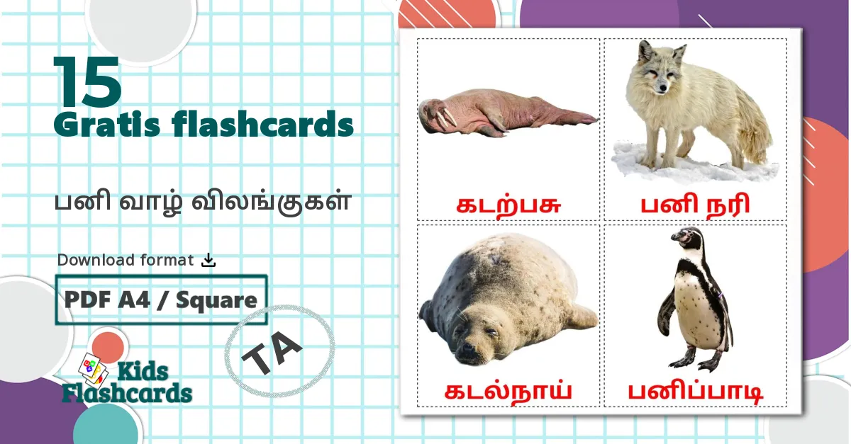 15 பனி வாழ் விலங்குகள் billedkort for børn