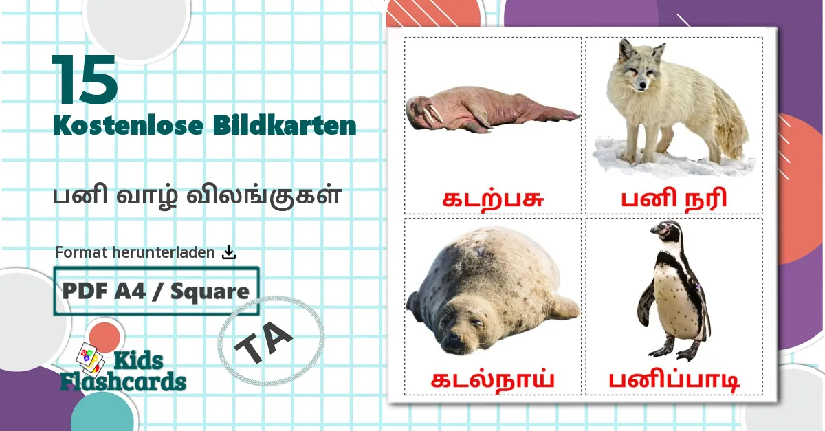 15 Bildkarten für பனி வாழ் விலங்குகள்