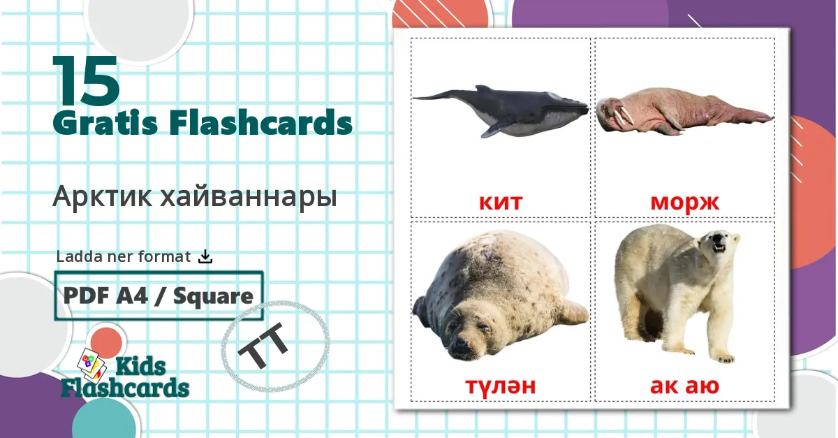 15 Арктик хайваннары  bildkort för barn
