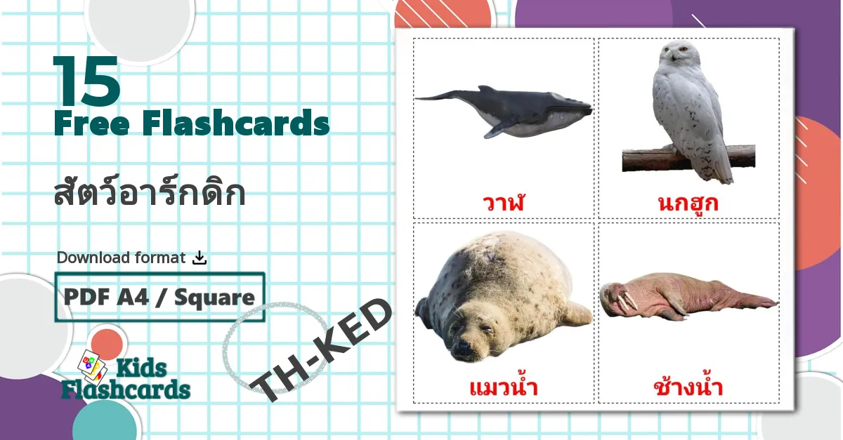 15 สัตว์อาร์กดิก flashcards