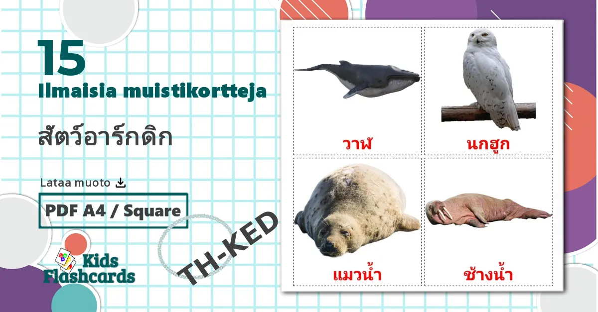 15 สัตว์อาร์กดิก lasten kuvakortit