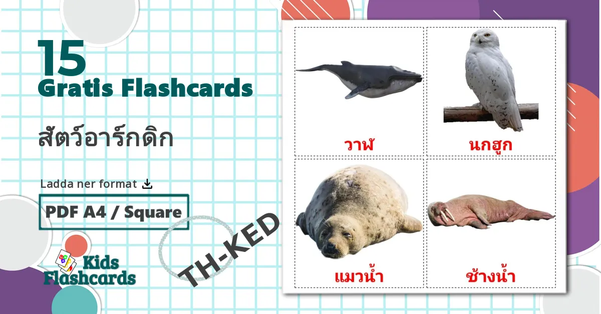 15 สัตว์อาร์กดิก bildkort för barn