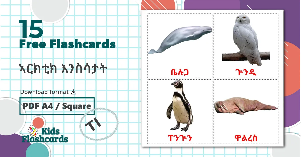 15 Sea animals flashcards