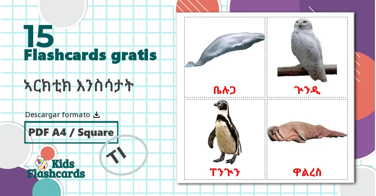 15 tarjetas didacticas de Animales del Ártico