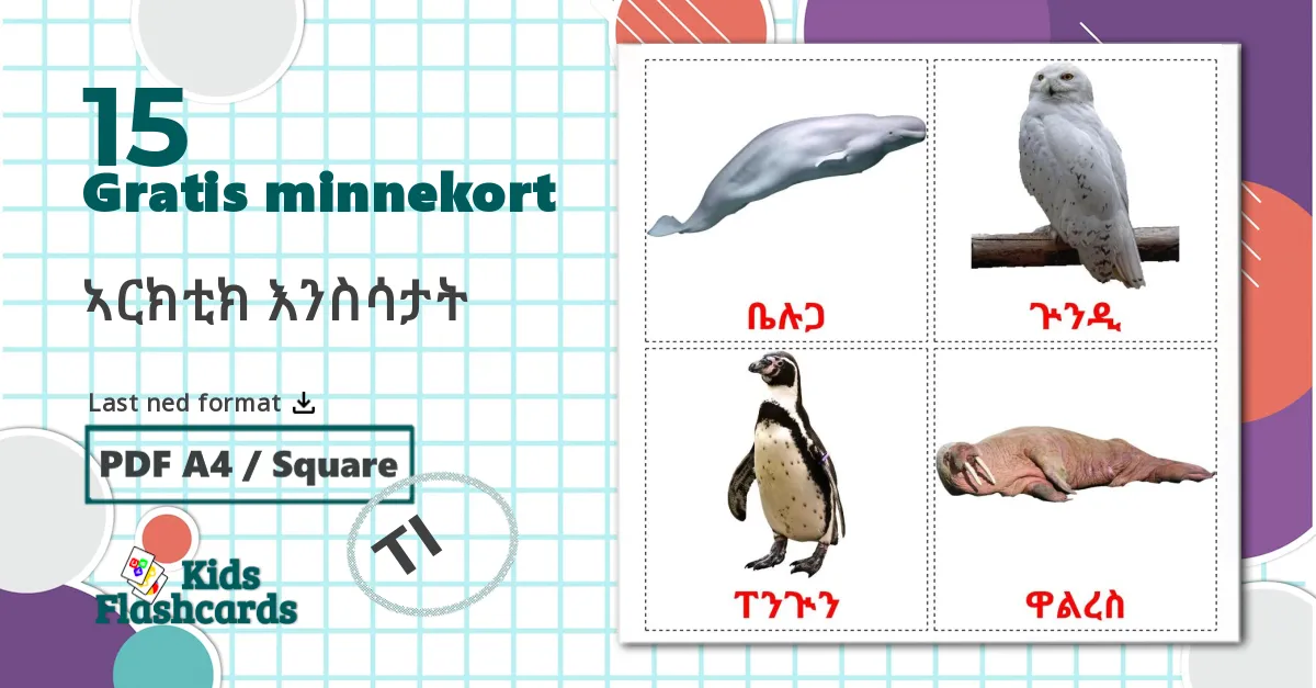 21 Arktiske dyr bildekort