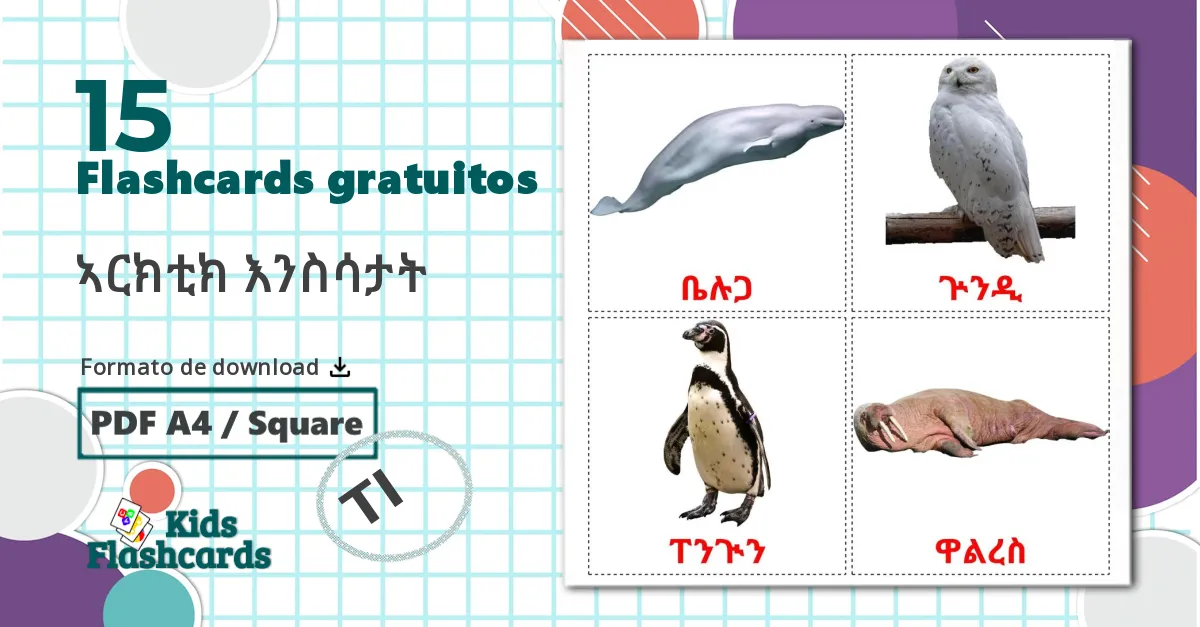 15 Flashcards de Animais do Ártico