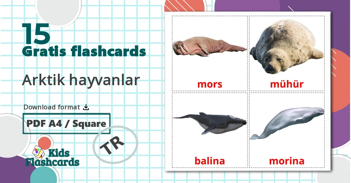 15 Arktik hayvanlar billedkort for børn