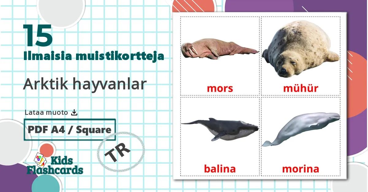 15 Arktik hayvanlar lasten kuvakortit
