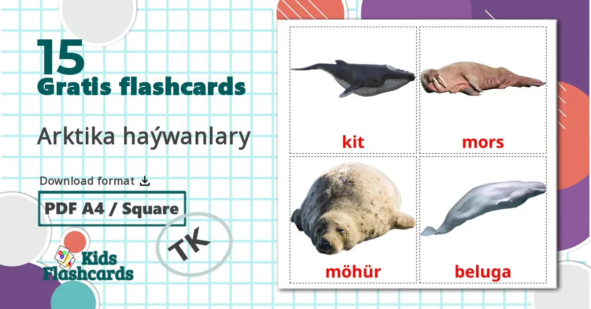 15 Arktiske dyr billedkort for børn