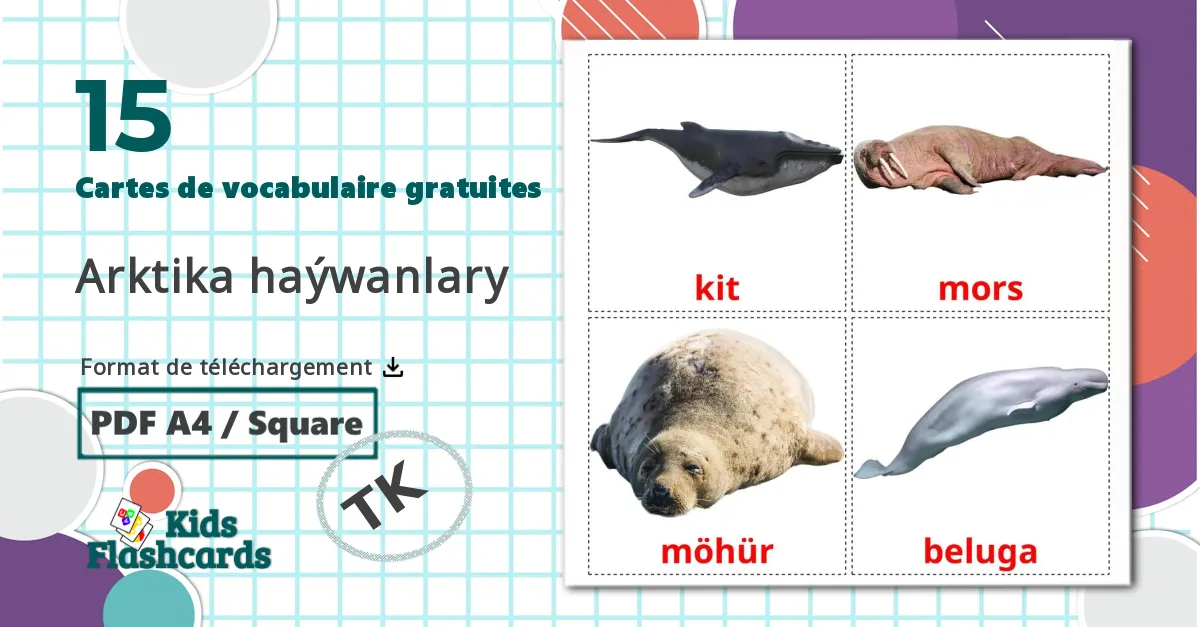 15 Imagiers Les Animaux de l'Arctique