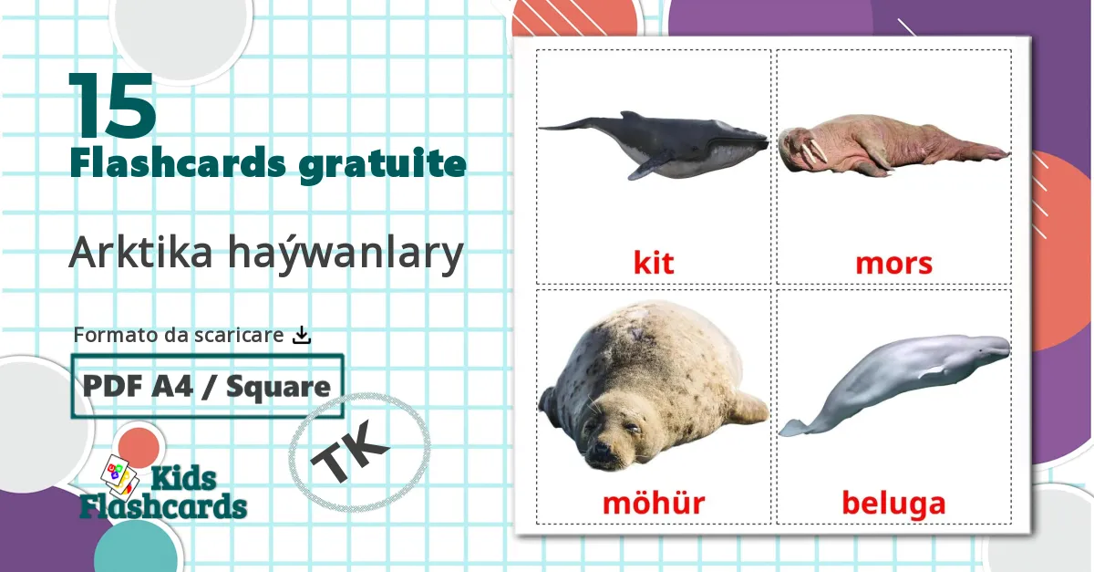 15 flashcards di Arktika haýwanlary