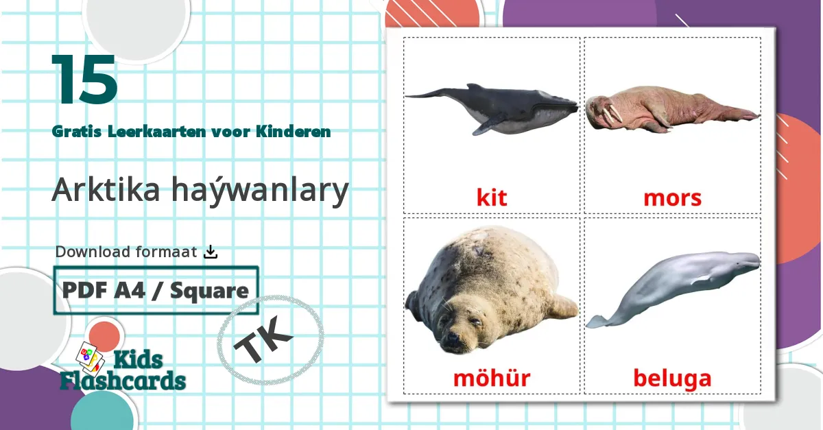 15 Arctische dieren Leerkaarten voor kinderen