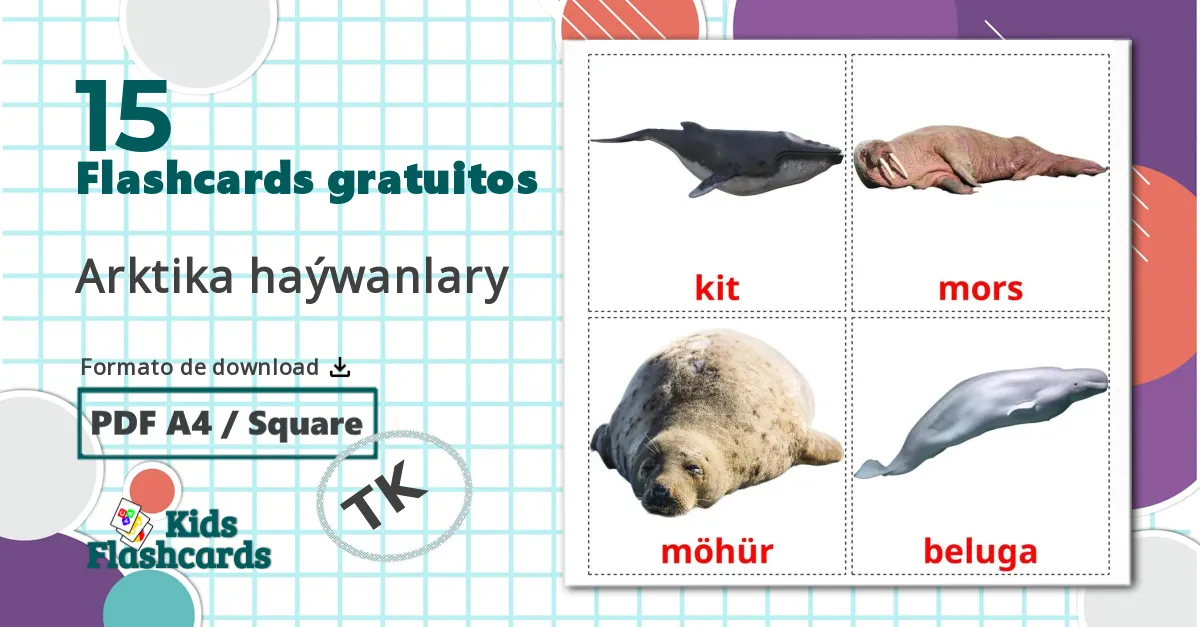 15 Flashcards de Animais do Ártico