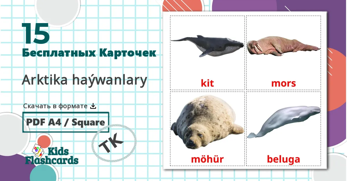 15 Карточки Домана Животные арктики