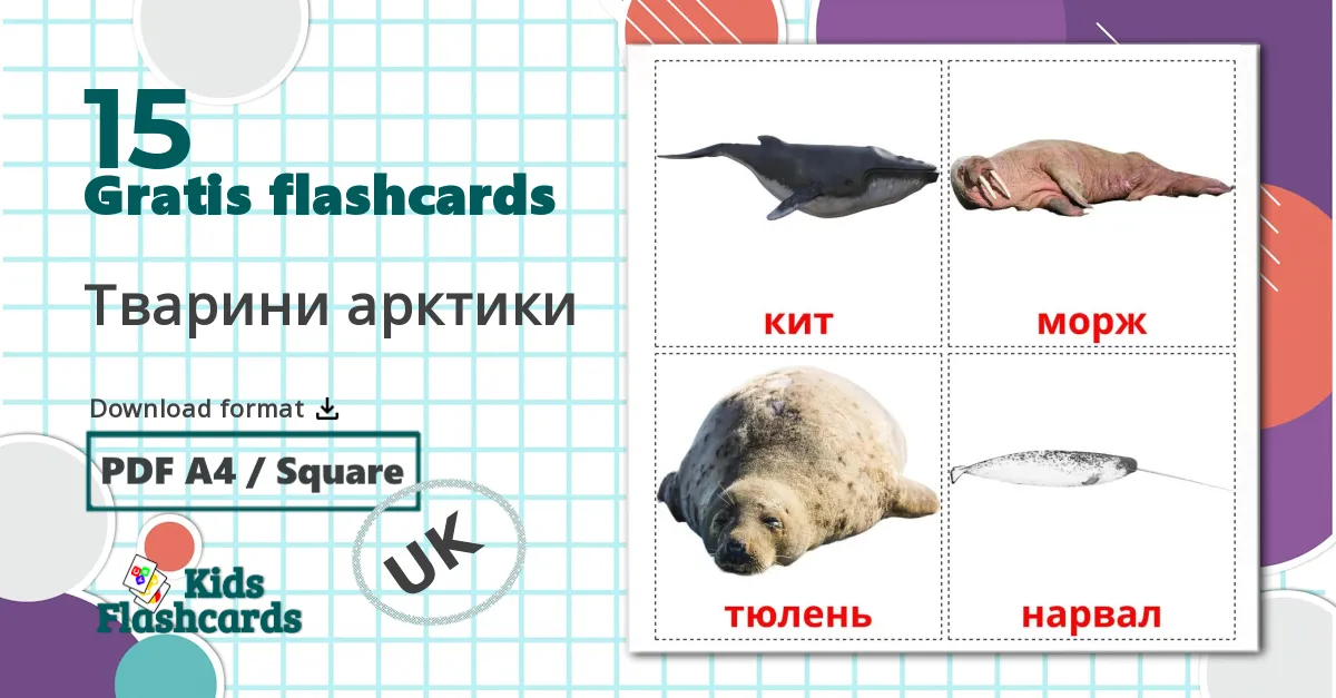 15 Тварини арктики  billedkort for børn