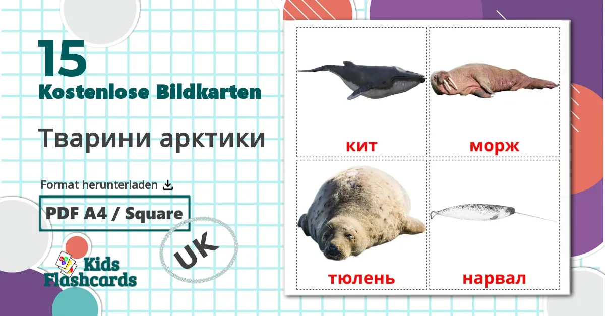 15 Bildkarten für Тварини арктики