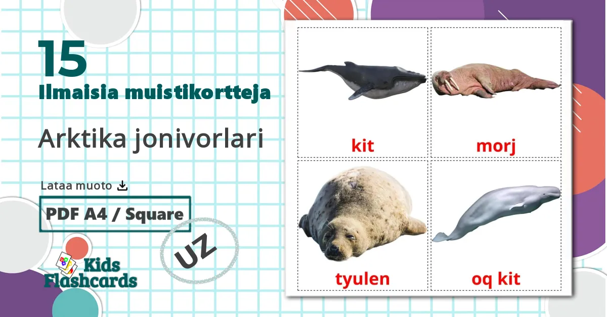 15 Arktika jonivorlari lasten kuvakortit
