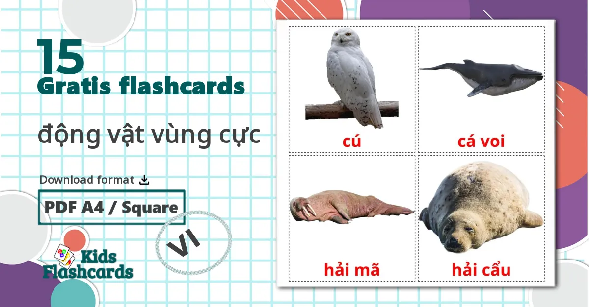 15 động vật vùng cực billedkort for børn