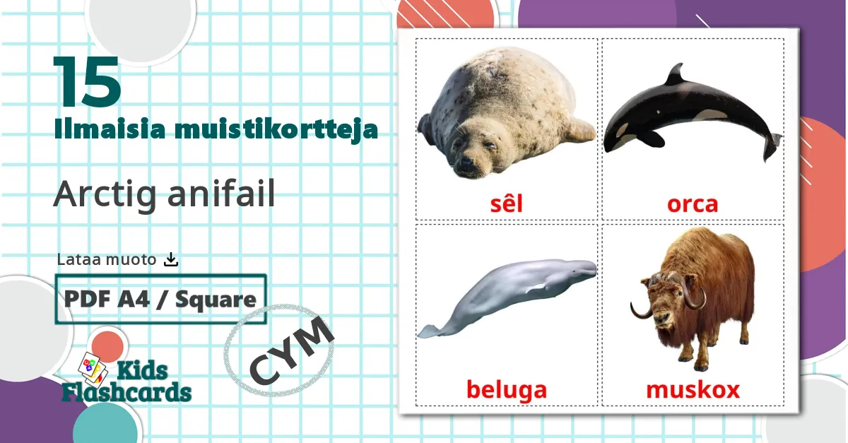15 Arctig anifail lasten kuvakortit