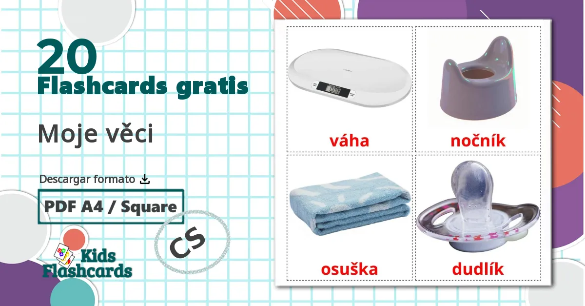 20 tarjetas didacticas de Moje věci