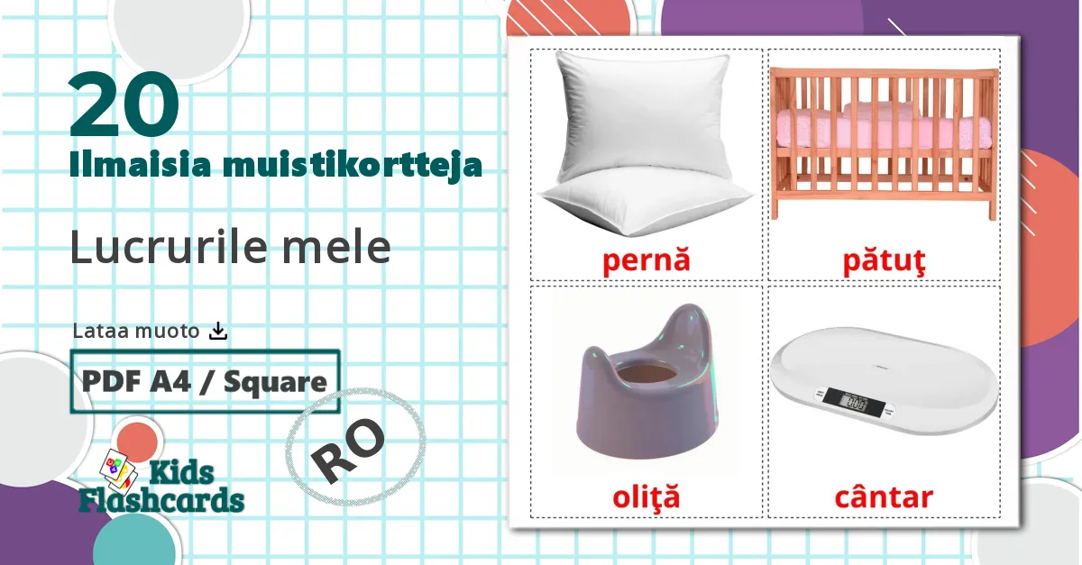 20 Lucrurile mele  lasten kuvakortit