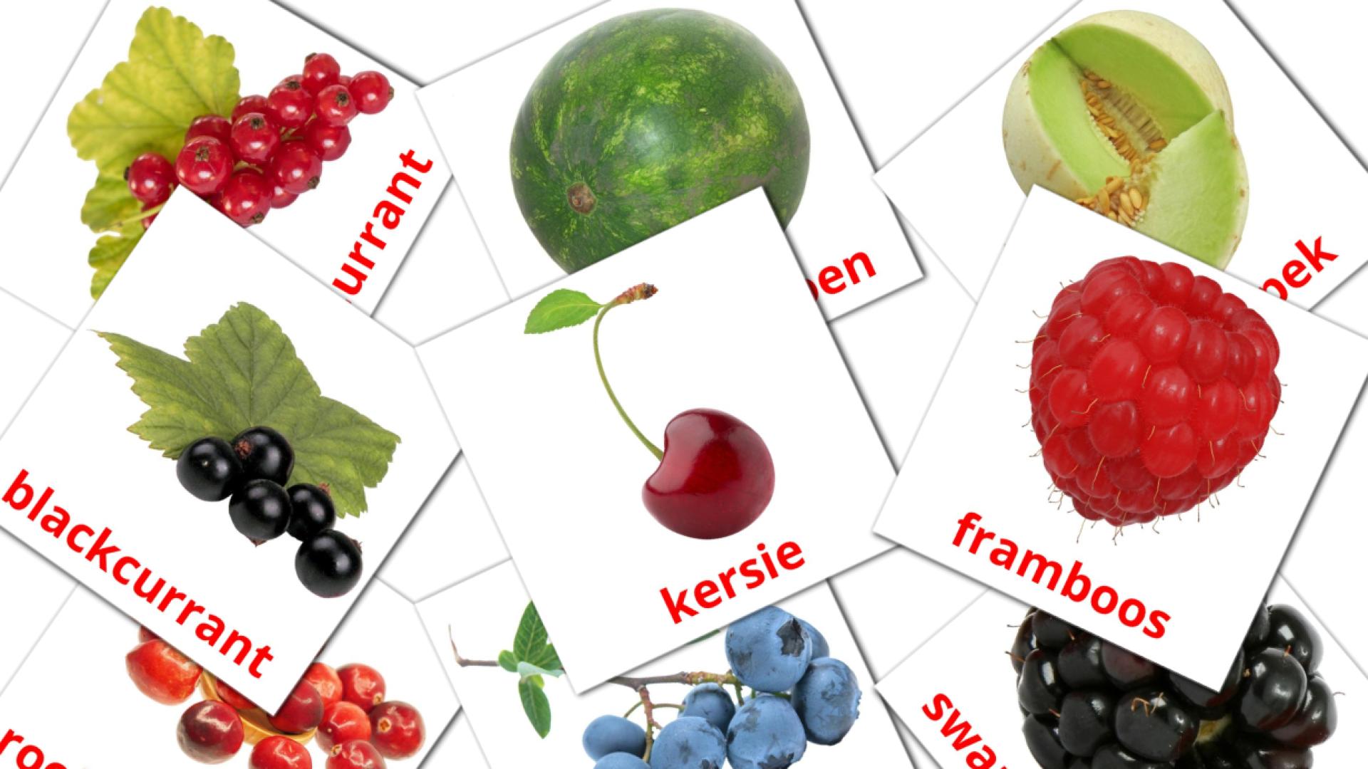 Berries - afrikaans vocabulary cards