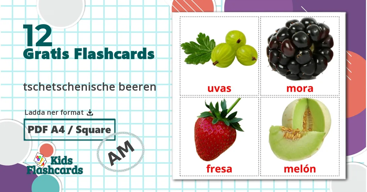 12 Bär flashcards