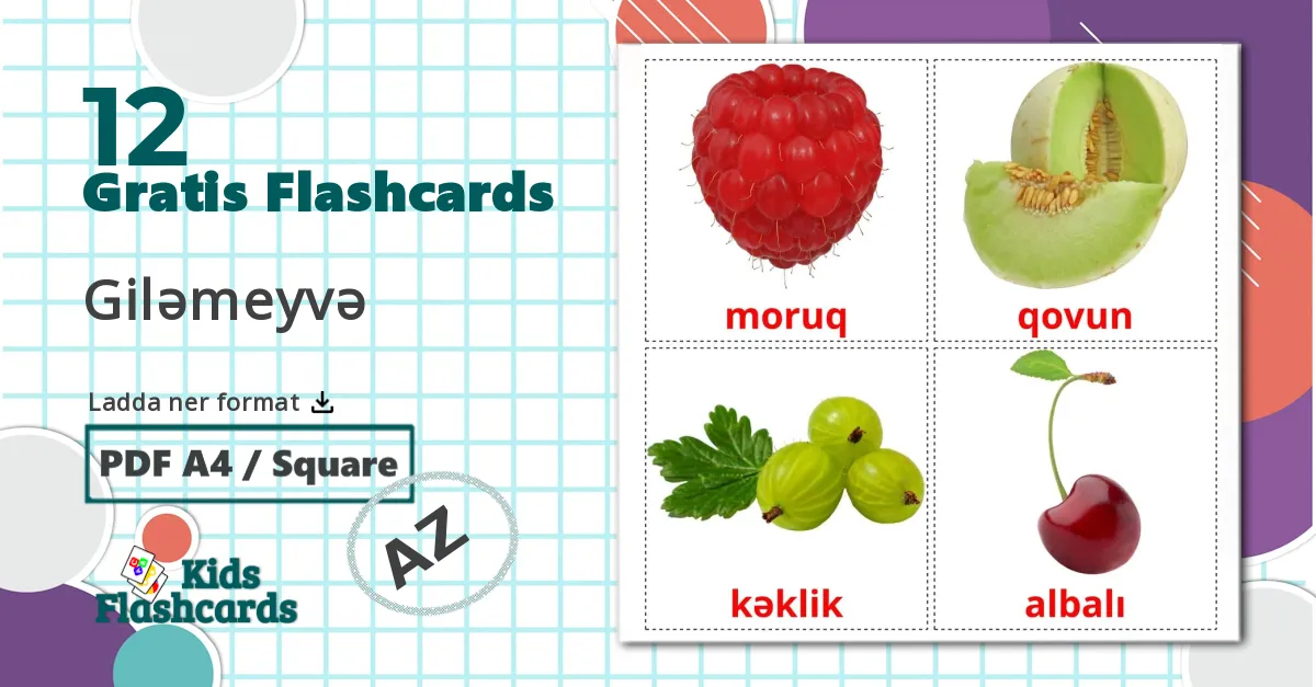 12 Giləmeyvə bildkort för barn