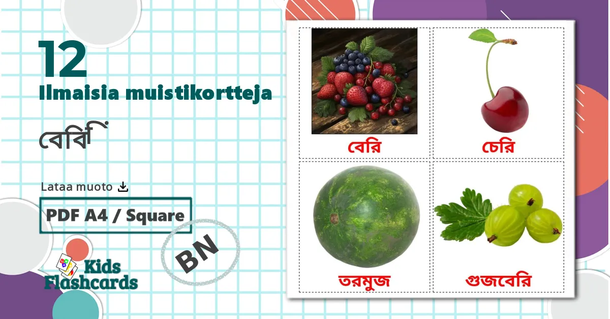 12 বেরি lasten kuvakortit