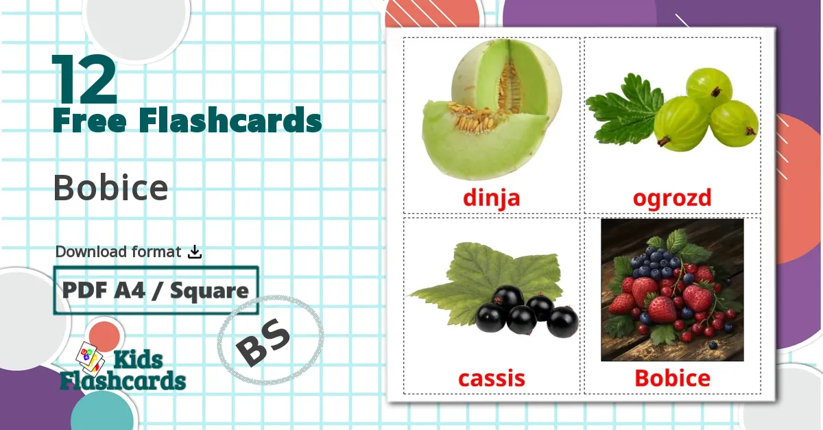 12 Bobice flashcards