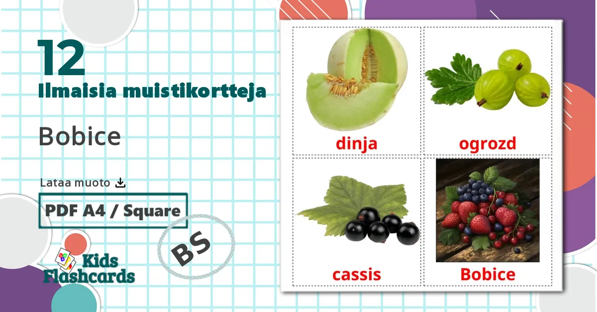 12 Bobice lasten kuvakortit