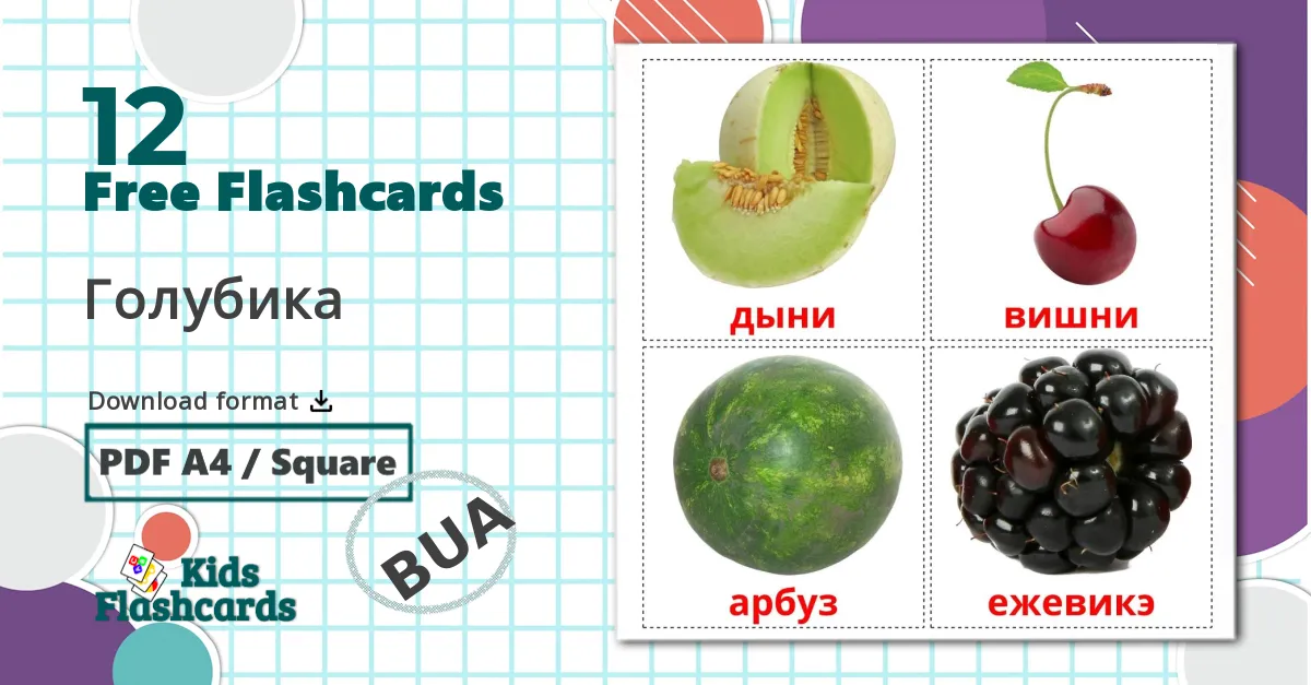 12 Berries flashcards