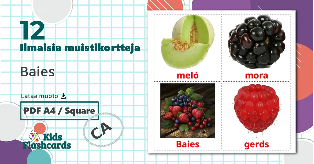 12 Baies lasten kuvakortit