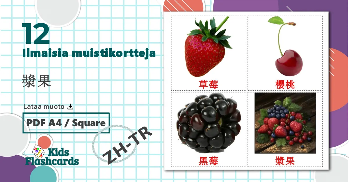 12 漿果 lasten kuvakortit