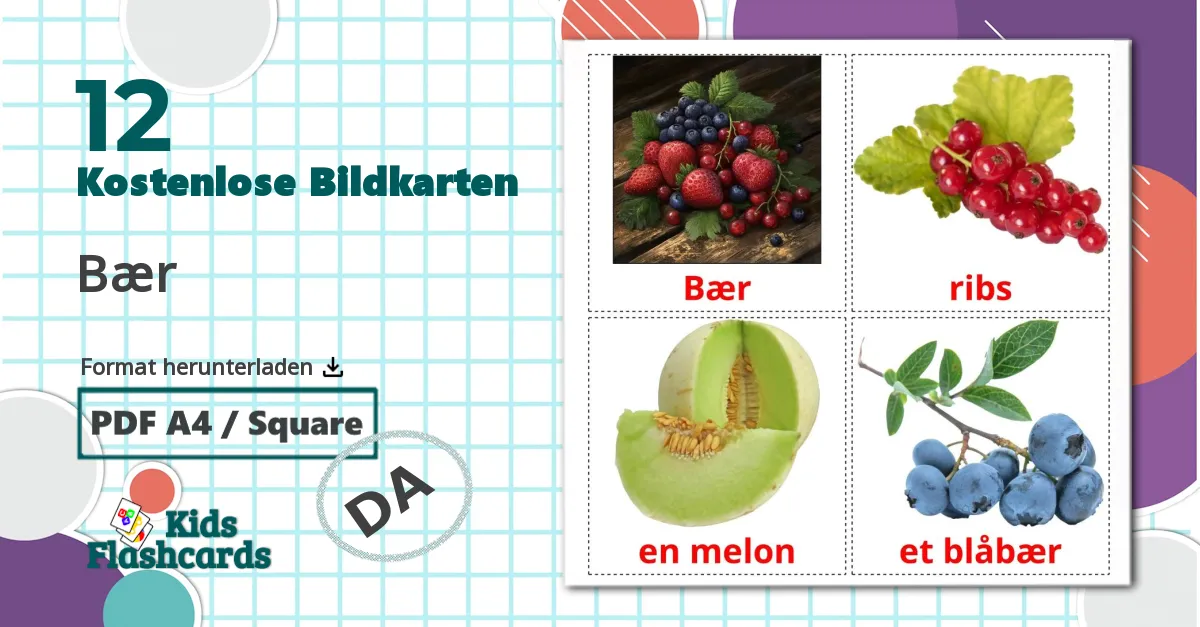 12 Bildkarten für Bær