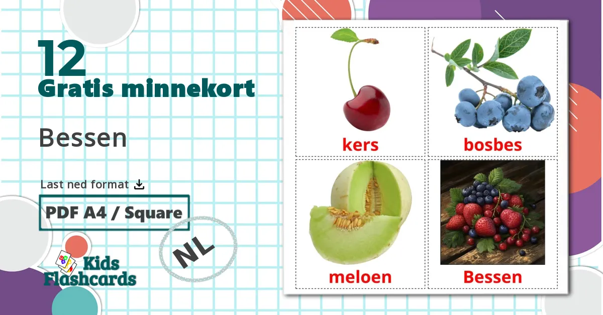12 Bessen bildekort