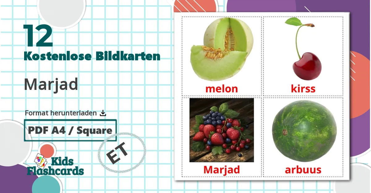 12 Bildkarten für Marjad