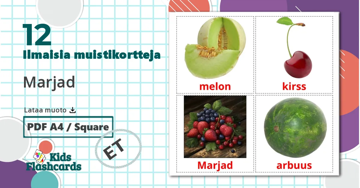 12 Marjad lasten kuvakortit