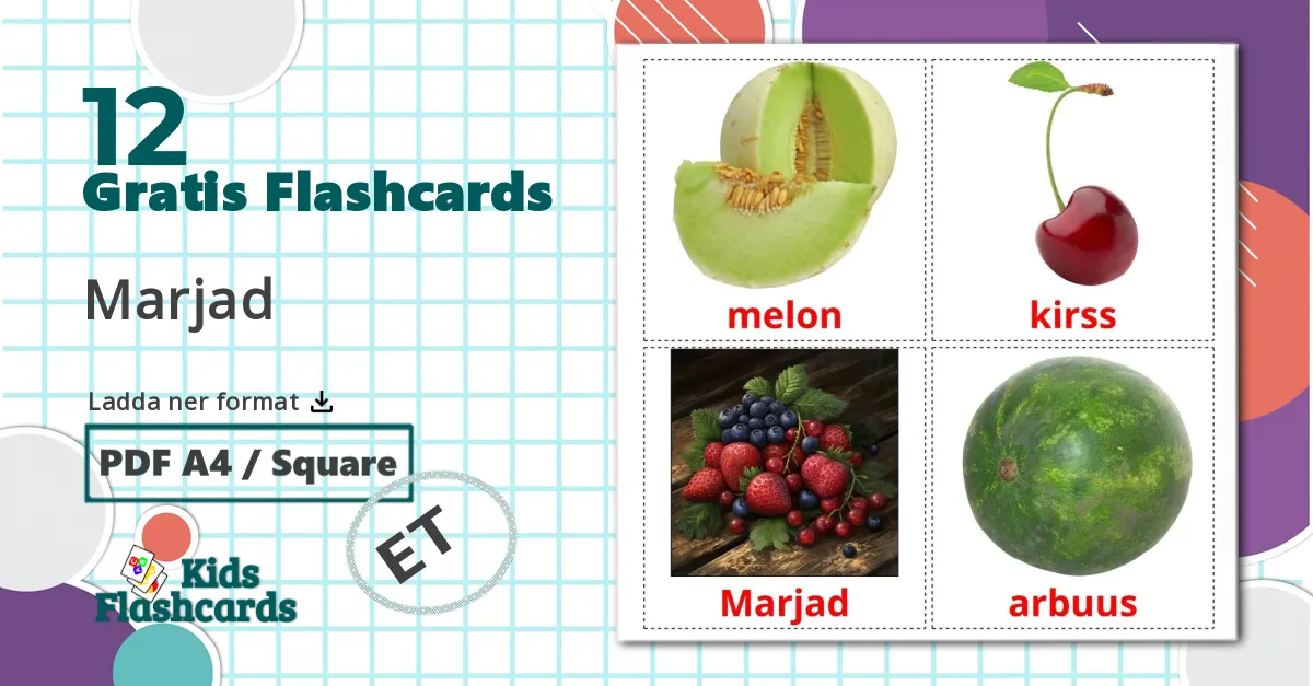 12 Marjad bildkort för barn