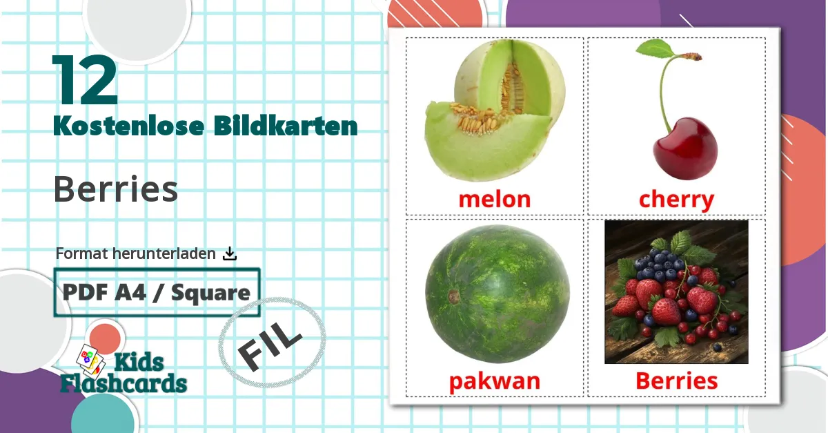 12 Bildkarten für Berries